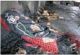 گزارش تصویری / مسجدی  که در  شب میلاد امام زمان به آتش کشیده شد  