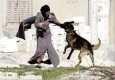 سگ های مخصوص برای حمله به مسلمانان