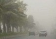 توفان شن منطقه سیستان را در نوردید/ غلظت گرد و غبار به مرز هشدار رسید