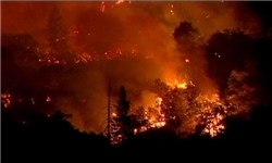 اعلام وضعیت فوق‌العاده در پی گسترش آتش‌سوزی در پارک آمریکایی