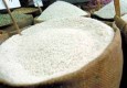 اجراي برنامه جامع تشديد نظارت بر ايمني و "سلامت برنج" / كنترل مستمر ايمني و سلامت محصول برنج