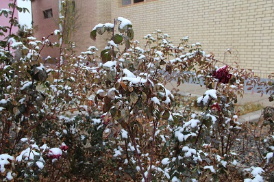 بارش برف اولین برف زمستانی در زاهدان
