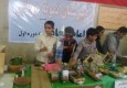 افتتاح نمایشگاه کار و فناوری در سراوان