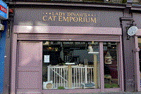افتتاح کافی شاپ گربه ها در لندن! +تصاوير