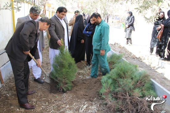 روز درختکاری در شهرستان زاهدان /تصاویر
