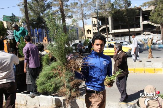 روز درختکاری در شهرستان زاهدان /تصاویر