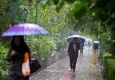 تداوم بارندگی در استان تا چهارشنبه/ سرعت وزش باد در جنوب استان افزایش می یابد