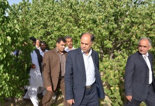 استاندار سیستان و بلوچستان از ظرفیت‌های مختلف کشاورزی و گردشگری خاش بازدید کرد