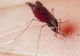 عملیات سمپاشی مالاریا درسیب وسوران اجرا می شود