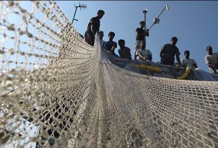 بیش از ۶۰ درصد تن ماهی کشور در چابهار وکنارک تامین می شود/ منطقه گوادر چابهار مستعدترین منطقه تولید میگو در کشور است
