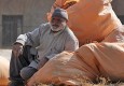رئیس غله استان: تا 48 ساعت آینده بدهی کشاورزان پرداخت می شود