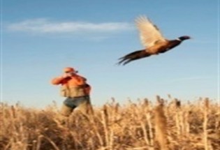 شکارچیان پرنده در شهرستان زهک دستگیر شدند