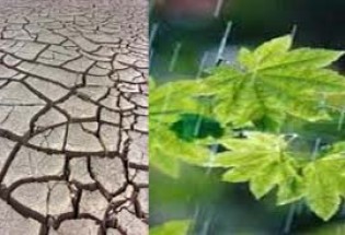 سیستان و بلوچستان کم بارش ترین استان کشور