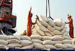 واردات بی رویه برنج معضلی برای برنجکاران/ از ورود 66 هزار تن برنج تا تعطیلی کشت برنج در سیستان و بلوچستان