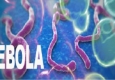 ابولا جهش ژنتیکی یافت