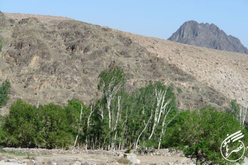 روستای تمین بهشت کوچک بلوچستان