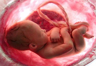 صحبت کردن با جنین، موجب رشد این قسمت از بدن نوزاد می شود