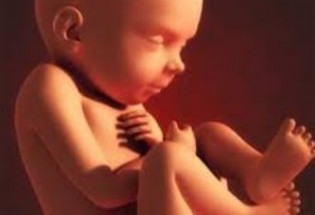سونوگرافی در 10 هفته اول بارداری ممنوع