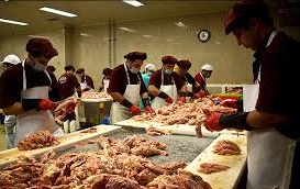 پیگیری ها در خصوص گوشت های آلوده همچنان ادامه دارد/ از گوشت های بوفالو در سوسیس و کالباس استفاده می شده است