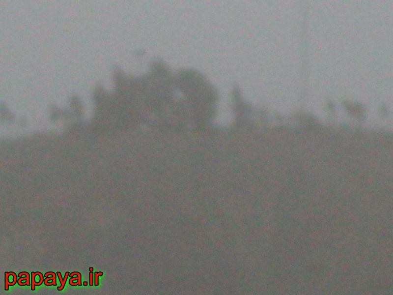 طوفان و گرد و خاک شدید در راسک