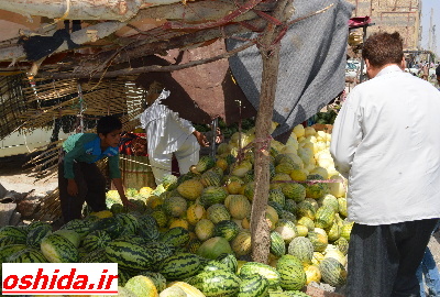 بی سامانی بازار خرید و فروش خربزه و هندوانه در سیستان