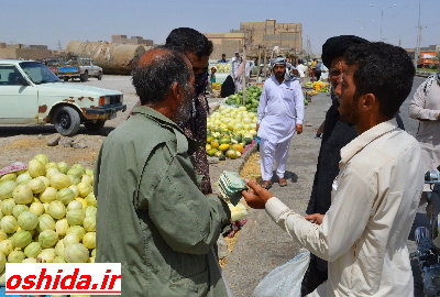 بی سامانی بازار خرید و فروش خربزه و هندوانه در سیستان