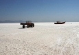 دریاچه ارومیه پتانسیل تبدیل شدن به پارک گیاهی-حیوانی را دارد