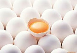 پای تخم مرغ های ایرانی به عراق رسید/ صادرات روزانه 350 تن تخم مرغ