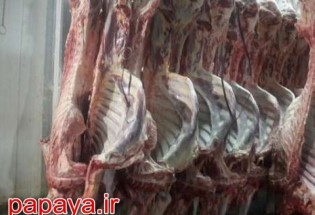 صادر شدن گوشت کشتارگاه پیشین به ۱۵ استان کشور