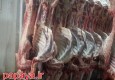 صادر شدن گوشت کشتارگاه پیشین به ۱۵ استان کشور