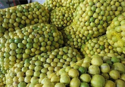 از بازار داغ جوک در فضای مجازی تا کمیاب شدن لیمو در سیستان و بلوچستان و گرانی در کرمان