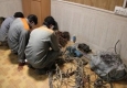دستگیری اعضای باند شش نفره سارقین کابل برق در زابل/ اعتراف به 20 فقره سرقت