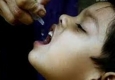 پایان مرحله دوم تکمیلی طرح خانه به خانه فلج اطفال در سیستان