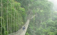 دلهره آورترین پل های جهان + 10 عکس