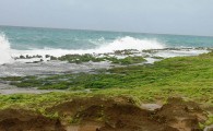 نقش فرش هایی از جنس خزه بر صخره های سواحل زیبای چابهار+ تصاویر  