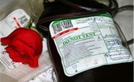 محرومیت شهرستان سرباز از پایگاه انتقال خون/ بانک خون راسک تنها روزنه امید بیماران تالاسمی