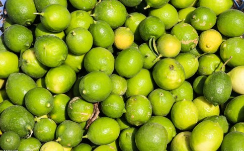 عطرگمشده لیموی ایرانی درهوای واردات/زیان۸۰۰میلیونی هرکشاورز درسال