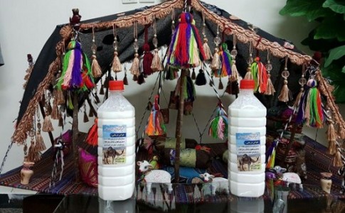 فروش شیر شتر در سیستان وبلوچستان/ دیابتی ها، نگران نباشید شیر شتر به بازار آمد