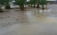 بارش باران در شهرستان دلگان/ لزوم آمادگی دستگاه های مسوول و امدادی در مقابل وقوع سیلاب