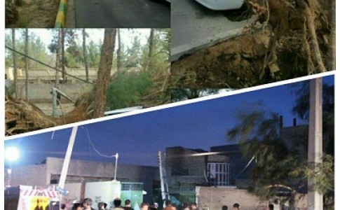 وزش شدید باد قامت 20 درخت کهنسال زاهدانی را شکست/ سقوط تیربرق درخیابان امیرکبیر خسارت به بار آورد