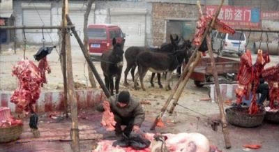فروش گوشت الاغ در زاهدان!/ مدیر کل دامپزشکی: 72 مورد تخلف شناسایی شد+ عکس