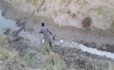 خشکسالی در اوج بحران سیل/ نگرانی کشاورزان از عدم ورود آب به برخی از انهار سیستان