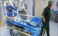 هشدار در خصوص شیوع تب کریمه کنگو/ 17 نفر در سیستان و بلوچستان مبتلا شدند