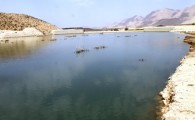 خسارت یک تریلیونی به مراتع سیستان و بلوچستان/ اجرای طرح های آبخیز داری نیازمند بیش از هزار میلیارد تومان اعتبار است