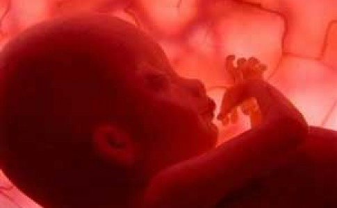 تهران رکورددار صدور مجوز سقط جنین