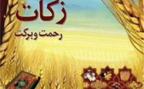 جمع آوری ۱۲ هزار تن زکات گندم از کشاورزان ایرانشهر