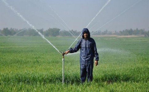 6هزار هکتار زمین کشاورزی ایرانشهر به سامانه آبیاری نوین مجهز است