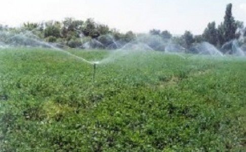 کاهش تلفات آب با اجرای پروژه آبرسانی به مزارع سیستان