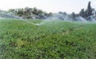 کاهش تلفات آب با اجرای پروژه آبرسانی به مزارع سیستان