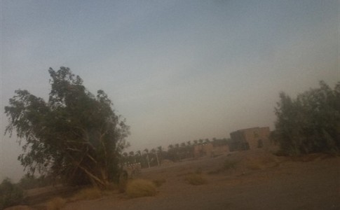باد شدید به همراه گرد و غبار در شهرستان دلگان+ تصاویر